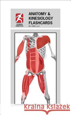 Anatomy & Kinesiology Flashcards Bryan K Fillmore 9781450428378 HUMAN KINETICS - książka