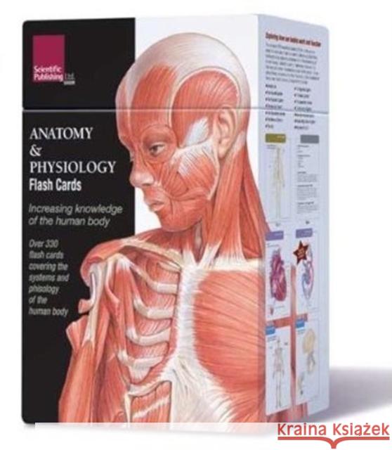 Anatomy & Physiology Flash Cards Various 9781932922974 Scientific Publishing, Ltd - książka