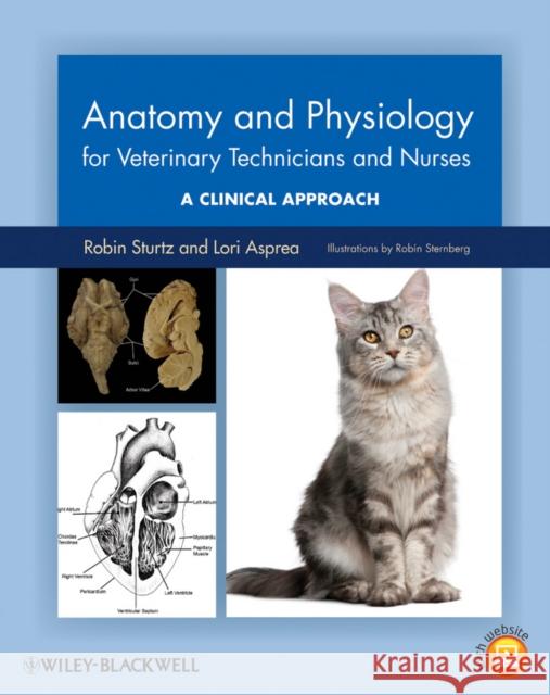 Anatomy and Physiology for Veterinary Technicians and Nurses: A Clinical Approach Sturtz, Robin 9780813822648 Wiley-Blackwell - książka