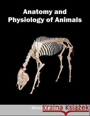 Anatomy and Physiology of Animals Kenneth Hayes 9781682860731 Syrawood Publishing House - książka