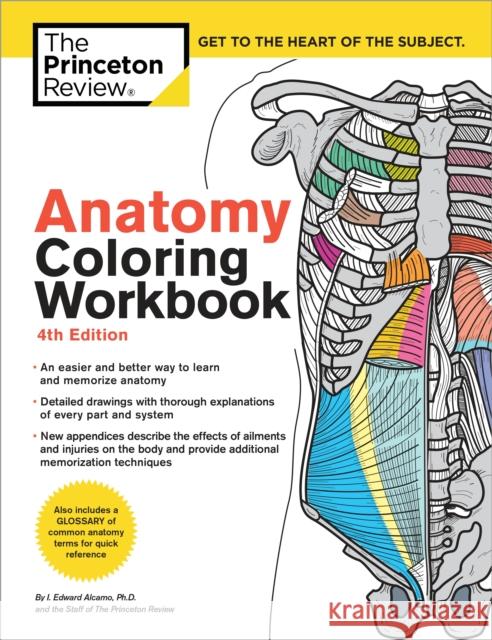 Anatomy Coloring Workbook, 4th Edition: An Easier and Better Way to Learn Anatomy Edward Alcamo 9780451487872 Random House USA Inc - książka