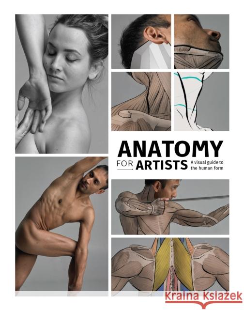 Anatomy for Artists: A visual guide to the human form  9781912843107 3DTotal Publishing Ltd - książka