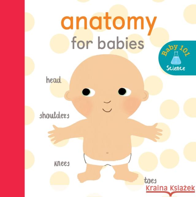 Anatomy for Babies Litton, Jonathan 9781848577374 Little Tiger Press Group - książka