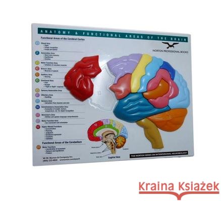 Anatomy & Functional Areas of the Brain - audiobook  9780393732894 W. W. Norton & Company - książka