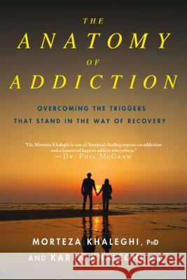 Anatomy of Addiction Khaleghi, Morteza 9780230107090  - książka
