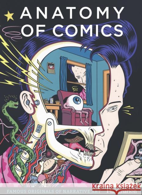 Anatomy of Comics: Famous Originals of Narrative Art Damien McDonald 9782080281876 Editions Flammarion - książka