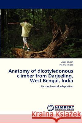 Anatomy of Dicotyledonous Climber from Darjeeling, West Bengal, India Ghosh Asok, Thapa Pranita 9783659318689 LAP Lambert Academic Publishing - książka