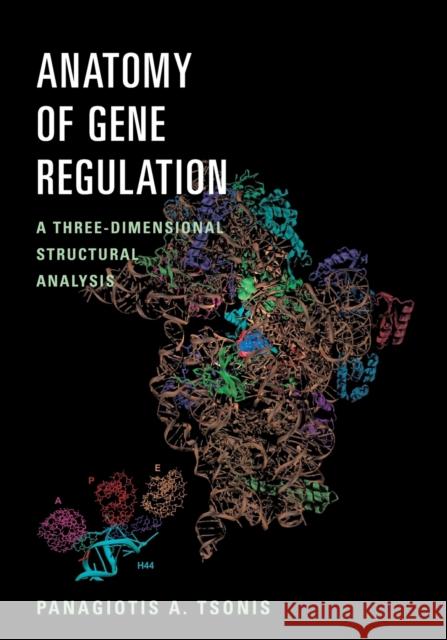 Anatomy of Gene Regulation Tsonis, Panagiotis A. 9780521804745 Cambridge University Press - książka