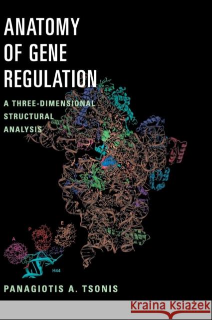 Anatomy of Gene Regulation: A Three-Dimensional Structural Analysis Tsonis, Panagiotis A. 9780521800303 Cambridge University Press - książka