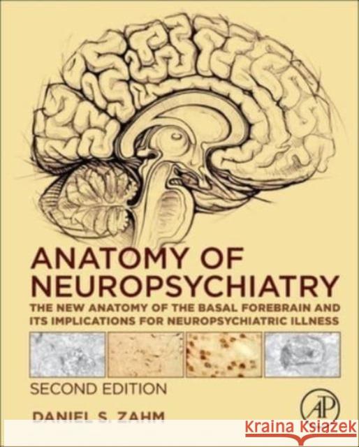 Anatomy of Neuropsychiatry Daniel S. (Saint Louis University, St. Louis, MO, USA) Zahm 9780443155963 Elsevier Science Publishing Co Inc - książka