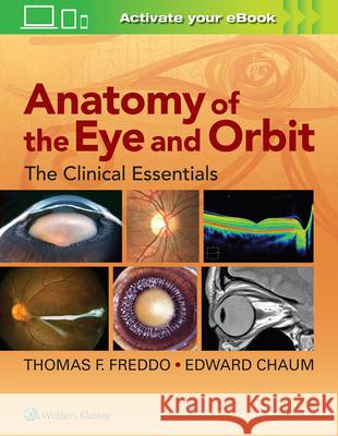 Anatomy of the Eye and Orbit: The Clinical Essentials Freddo, Thomas F. 9781469873282 LWW - książka