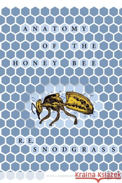 Anatomy of the Honey Bee R. E. Snodgrass Roger A. Morse 9780801404009 Comstock Publishing - książka