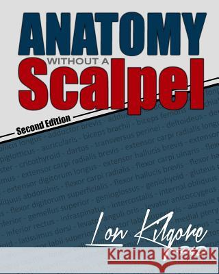 Anatomy Without a Scalpel - Second Edition Dr Lon Kilgore Ashton Burchfield Dr Lon Kilgore 9780692679791 Killustrated - książka