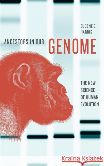 Ancestors in Our Genome: The New Science of Human Evolution Eugene E. Harris 9780199978038 Oxford University Press, USA - książka