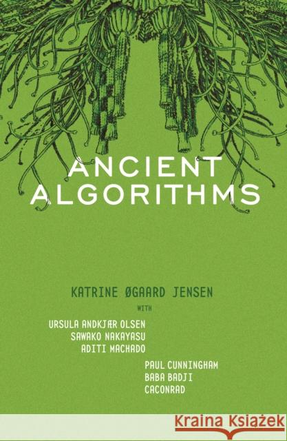 Ancient Algorithms Katrine gaard Jensen 9781956046434 Sarabande Books - książka