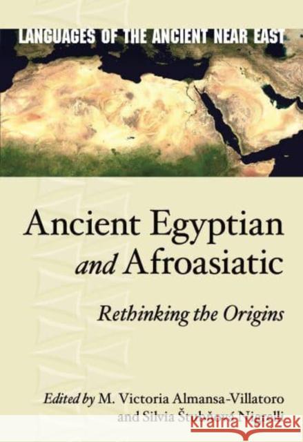 Ancient Egyptian and Afroasiatic: Rethinking the Origins  9781646022120 Eisenbrauns - książka