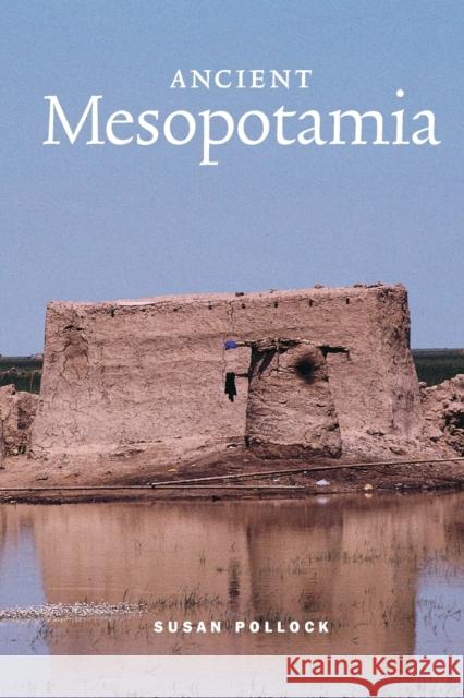 Ancient Mesopotamia Susan Pollock 9780521575683  - książka