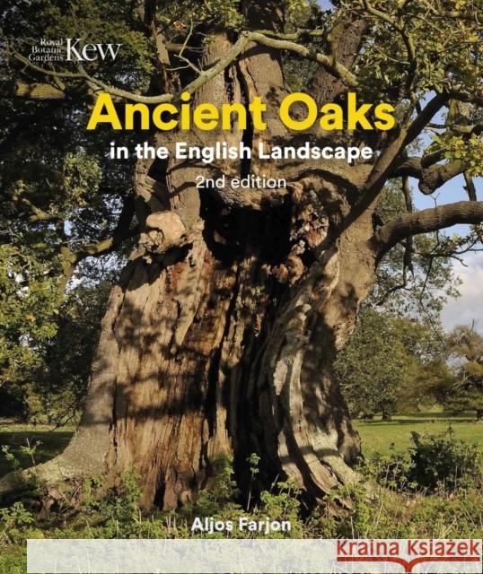 Ancient Oaks in the English Landscape Aljos Farjon 9781842467664 Royal Botanic Gardens - książka