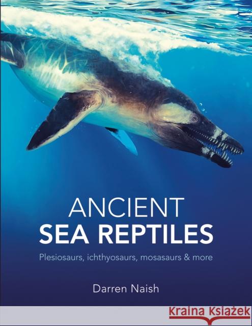 Ancient Sea Reptiles Darren Naish 9780565095765 The Natural History Museum - książka