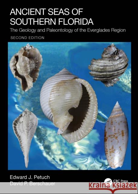 Ancient Seas of Southern Florida: The Geology and Paleontology of the Everglades Region Edward J. Petuch David P. Berschauer 9780367566333 CRC Press - książka