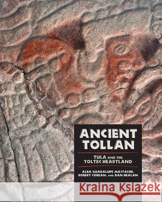 Ancient Tollan: Tula and the Toltec Heartland Alba Guadalupe Mastache Robert Cobean Dan Healan 9781607323617 University Press of Colorado - książka