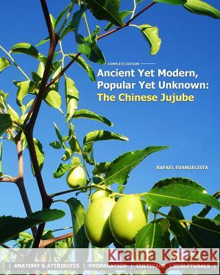 Ancient Yet Modern, Popular Yet Unknown: The Chinese Jujube: An In-Depth Guide to Growing and Propagating Chinese Jujubes Rafael Evangelista Patricia Evangelista 9781542309899 Createspace Independent Publishing Platform - książka