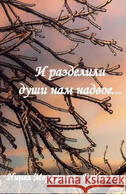 And They Divided Our Souls in Two Ninel Gaponenko 9781986704748 Createspace Independent Publishing Platform - książka