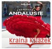 Andalusie (poznáváme)  9788025638606 Svojtka & Co. - książka