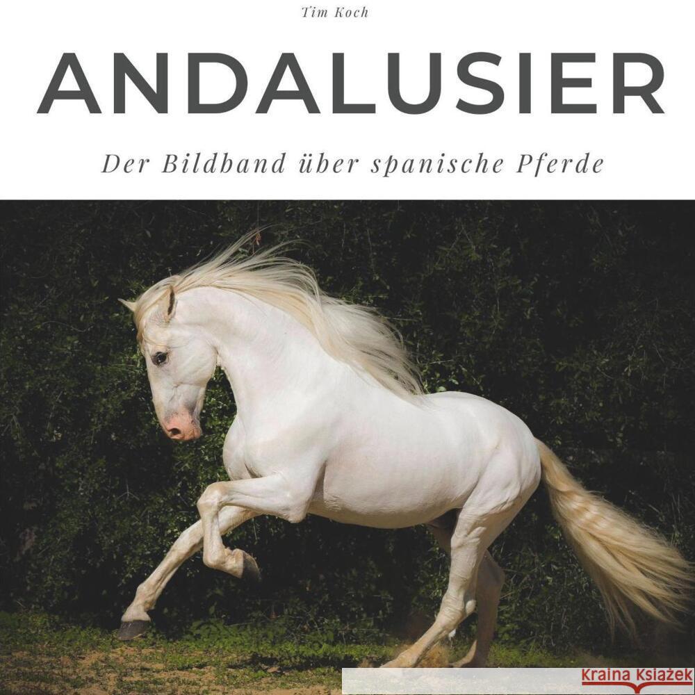 Andalusier Koch, Tim 9783750501867 27amigos - książka