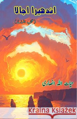 Andhera Ujaala: (Darkness Brightness, Short Stories) Hayatullah Ansari 9789369083404 Taemeer Publications - książka