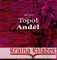 Anděl Jáchym Topol 9788072155378 Torst - książka