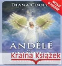 Andělé světla Diana Cooper 9788073704506 Synergie - książka