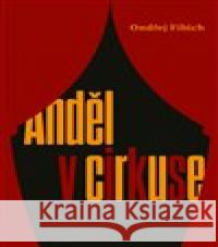 Anděl v cirkuse Ondřej Fibich 9788072278985 Druhé město - książka