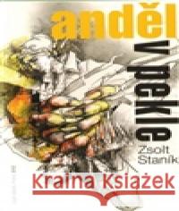 Anděl v pekle Zdeněk Netopil 9788090404533 Staník Zsolt - książka