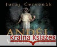 Anděl v podsvětí Juraj Červenák 8595693406526 Tympanum - książka