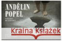 Andělin popel Frank McCourt 8590236114029 Radioservis - książka