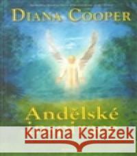 Andělské inspirace Diana Cooper 9788073367053 Fontána - książka