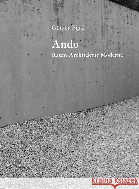 Ando : Raum, Architektur, Moderne Figal, Günter 9783868332209 modo verlag - książka