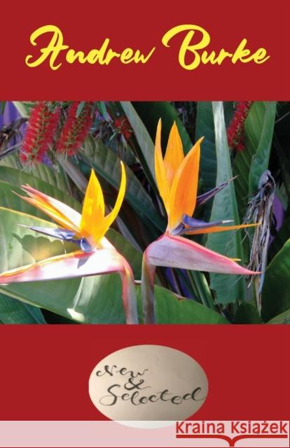 Andrew Burke New and Selected 2020 Andrew Burke 9781877010958 Walleah Press - książka