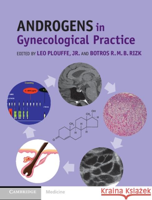 Androgens in Gynecological Practice Leo Plouffe Botros Rizk 9781107041318 Cambridge University Press - książka