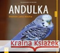 Andulka Hildegard Niemann 9788075410283 Vašut - książka