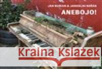 Anebojo Jaroslav Kořán 8594042902627 Galén - książka