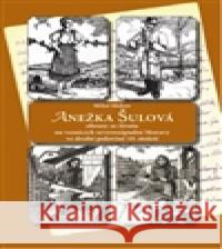 Anežka Šulová Miloš Melzer 9788086438511 Pavel Ševčík - VEDUTA - książka