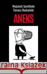 Aneks. Niebezpieczne związki III RP Wojciech Sumliński, Tomasz Budzyński 9788396465887 Wojciech Sumliński - książka