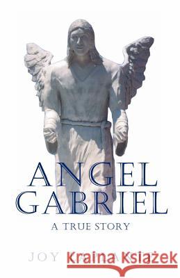 Angel Gabrel - A True Story Joy Laplante Richard Nilsen Thomas Nilsen 9781937376215 All Star Press - książka