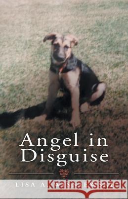 Angel in Disguise Author 9781973656319 WestBow Press - książka