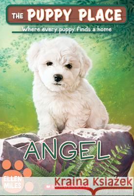 Angel (the Puppy Place #46): Volume 46 Miles, Ellen 9781338069198 Scholastic Paperbacks - książka