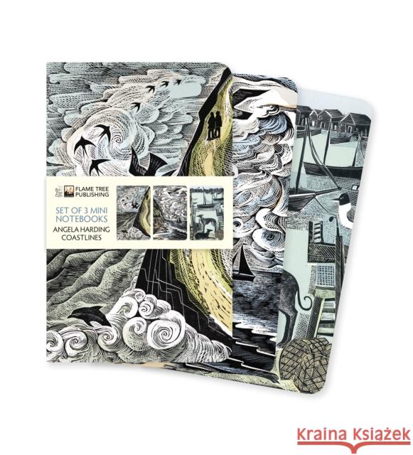 Angela Harding: Coastlines Set of 3 Mini Notebooks Flame Tree Studio 9781804178805 Flame Tree Publishing - książka