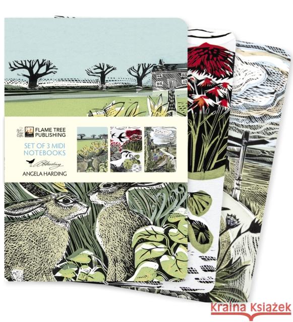 Angela Harding: Landscapes Set of 3 Midi Notebooks  9781804173183 Flame Tree Publishing - książka