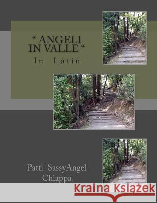 Angeli in Valle Chiappa, Patti Sassy Angel 9781494907396 Createspace - książka